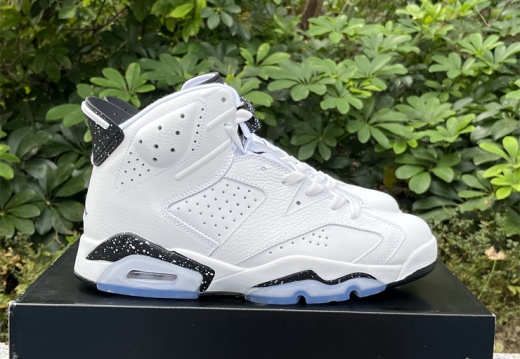 Air Jordan 6 Reverse Oreo CT8529-112 40-47.5 M108